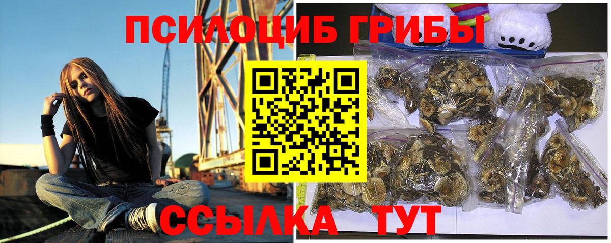 Кувандык  Галлюциногенные грибы Psilocybine cubensis  Вход с VPN 