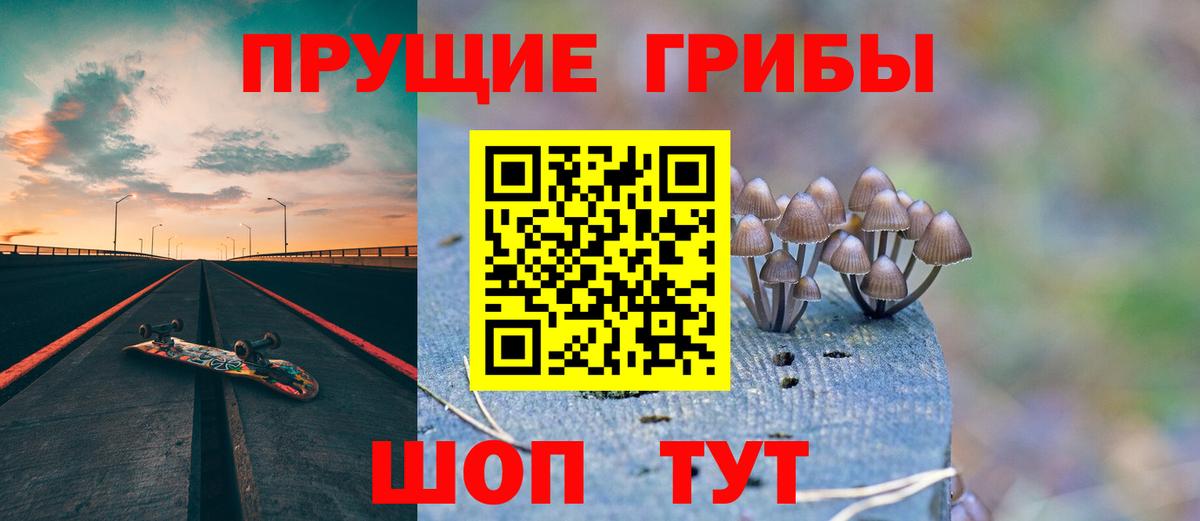 Псилоцибиновые грибы прущие грибы Кувандык